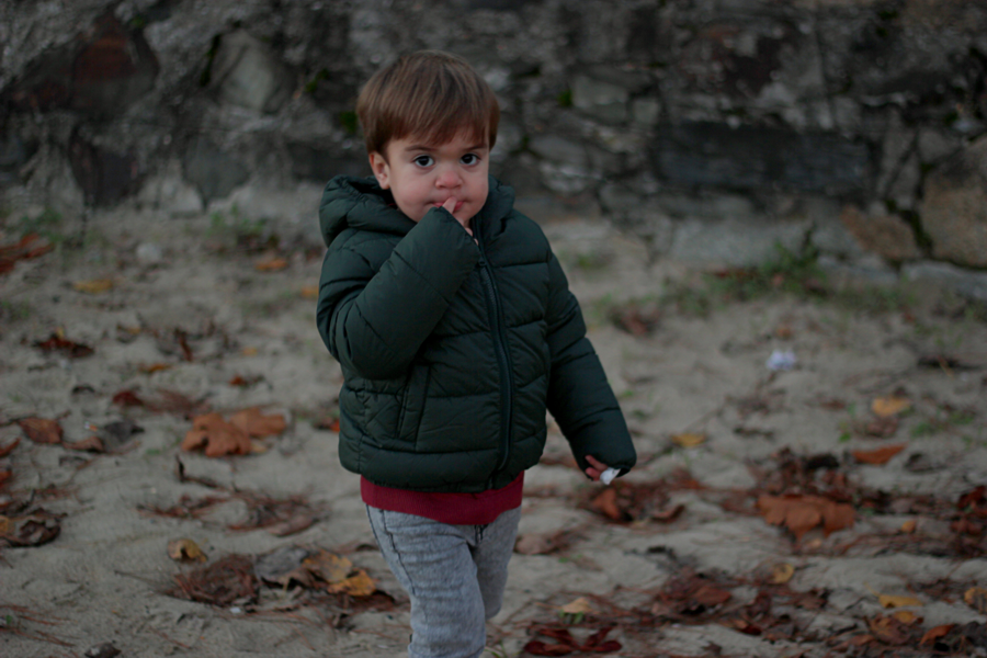 Adri